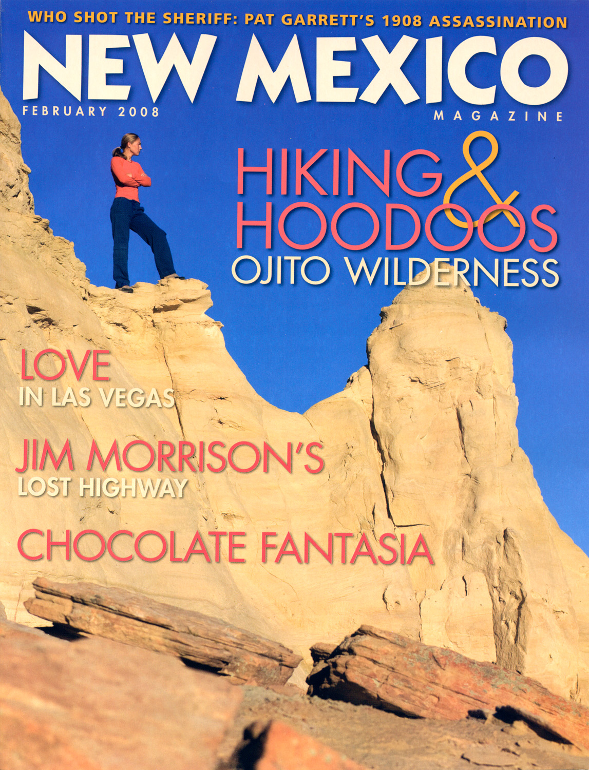 nmmag_cover_0108.jpg
